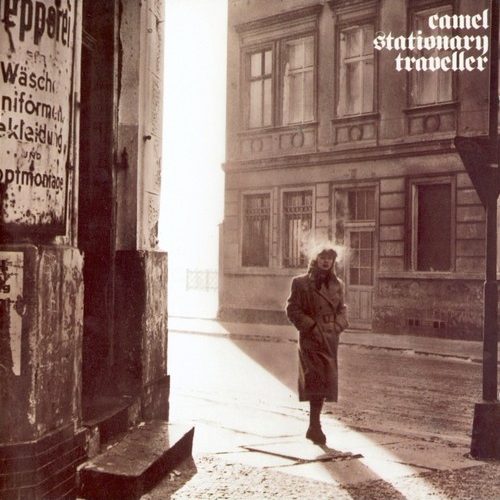 Stationary Traveller - Camel