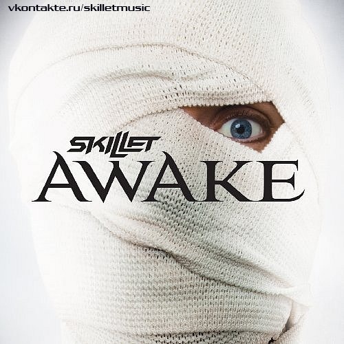 Skillet - Would It Matter cover art
