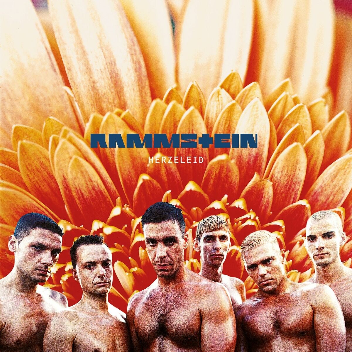 Rammstein - Asche zu Asche