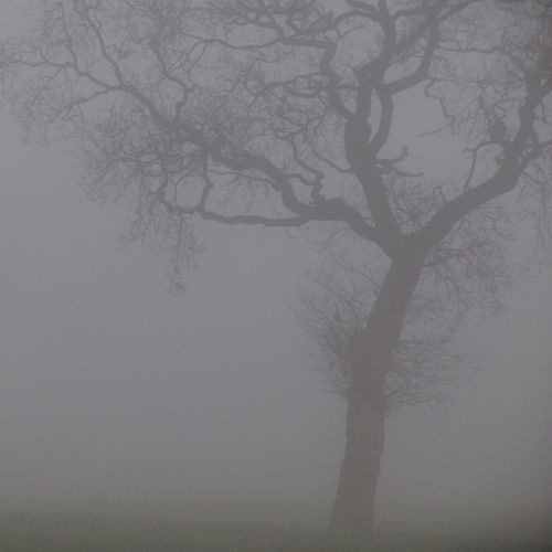 Jesu - Dead Eyes cover art