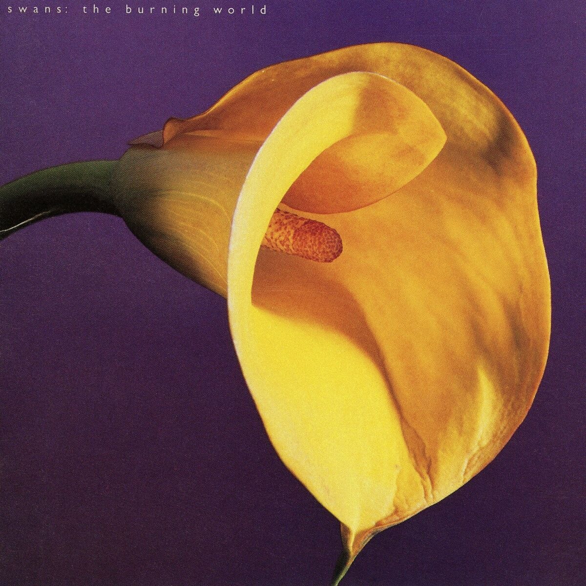 The Burning World - Swans
