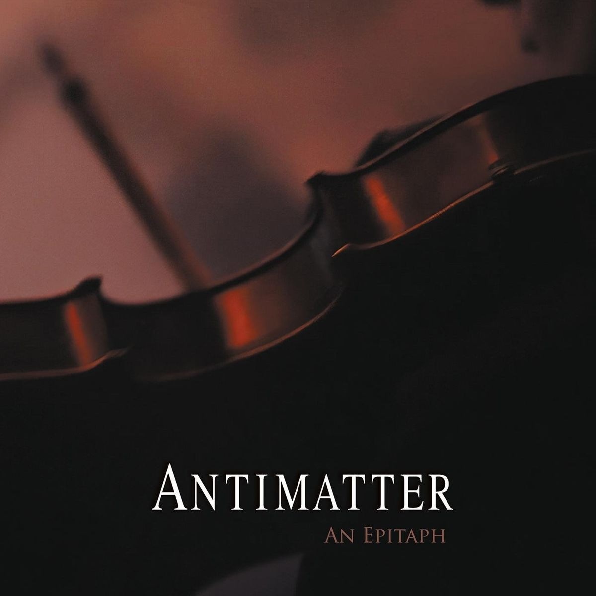 Antimatter - Fighting for a Lost Cause (Live) cover art