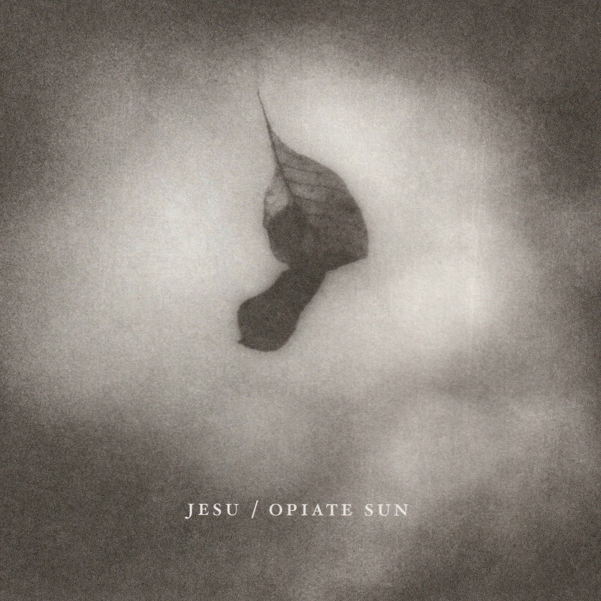 Jesu - Losing Streak