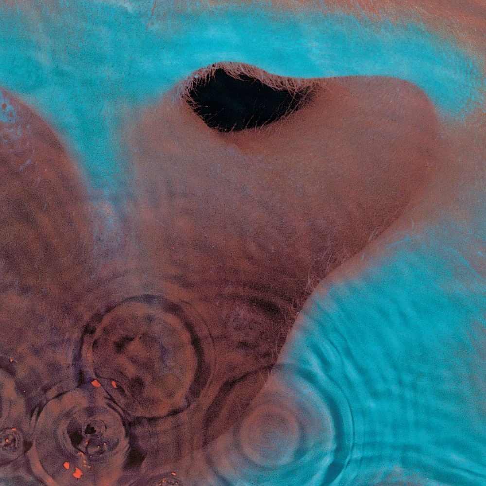 Pink Floyd - A Pillow Of Winds (2011 Remastered Version)