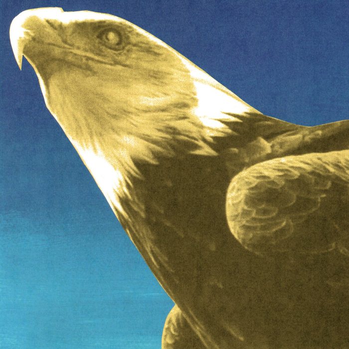 Hotel Usona - Protomartyr