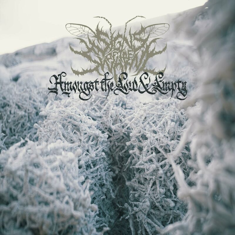 Amongst the Low & Empty - Signs of the Swarm
