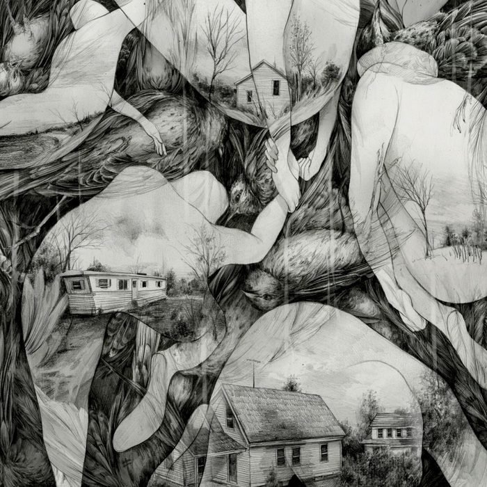 Rays of Darkness - MONO