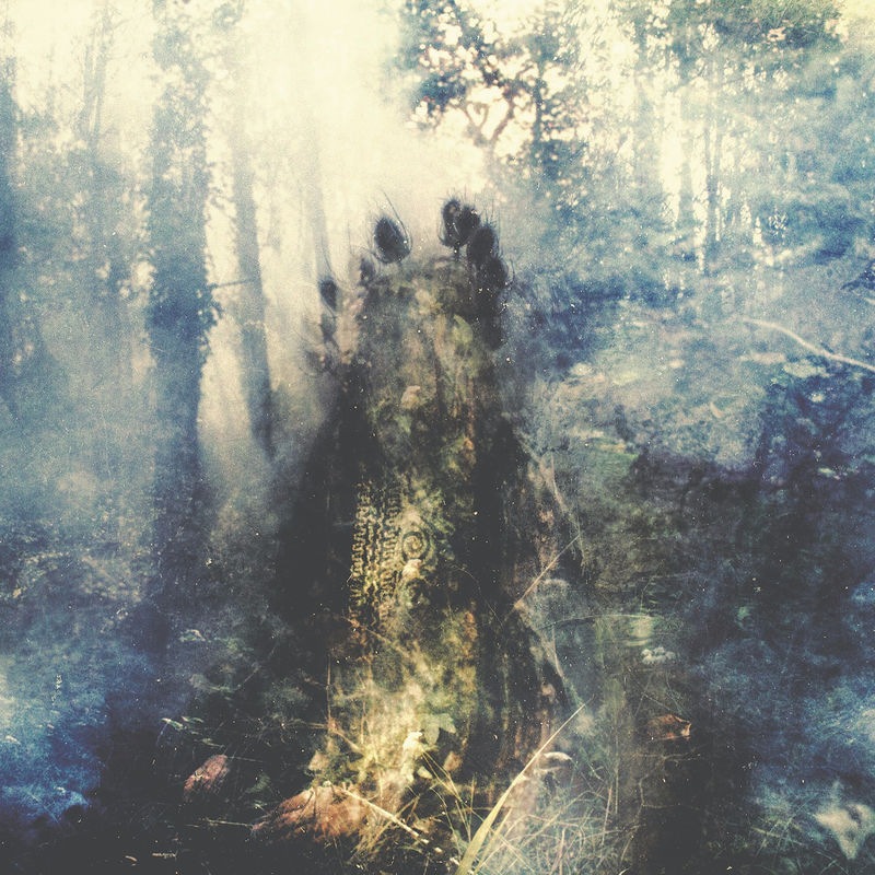 Wistful - Sylvaine