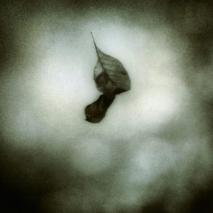 Opiate Sun - Jesu