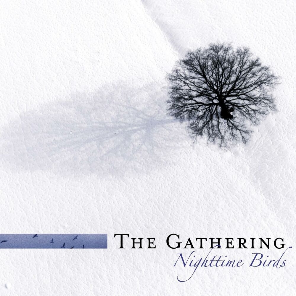 The Gathering - New Moon, Different Day (Live in Krakow)