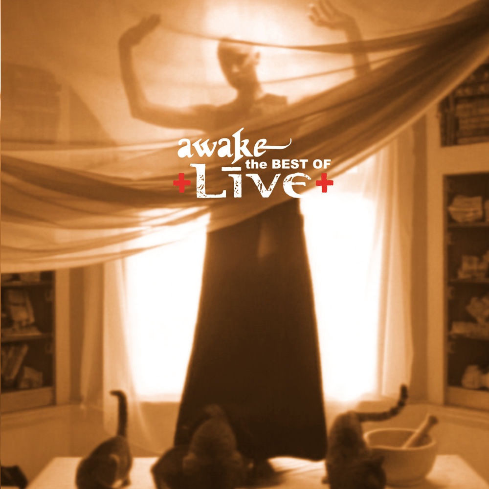 Live - Lightning Crashes cover art