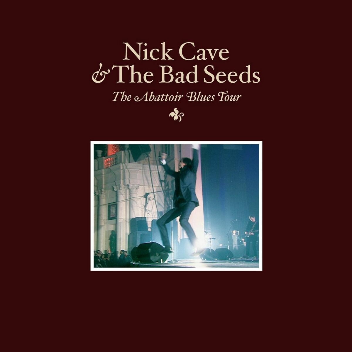 Nick Cave & The Bad Seeds - Babe, You Turn Me On (Live in Paris)