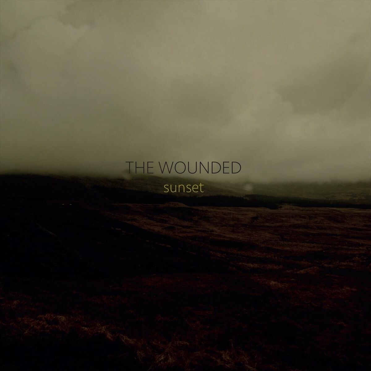 The Wounded - This Paradise