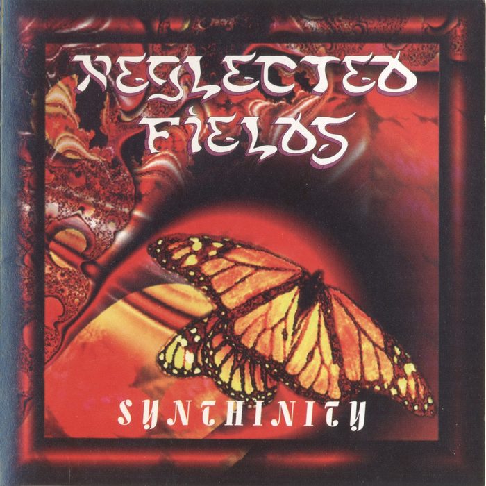 Synthinity - Neglected Fields