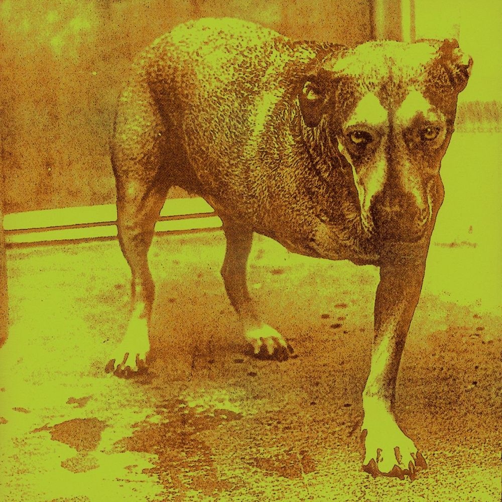 Alice in Chains - Brush Away (Album Version)