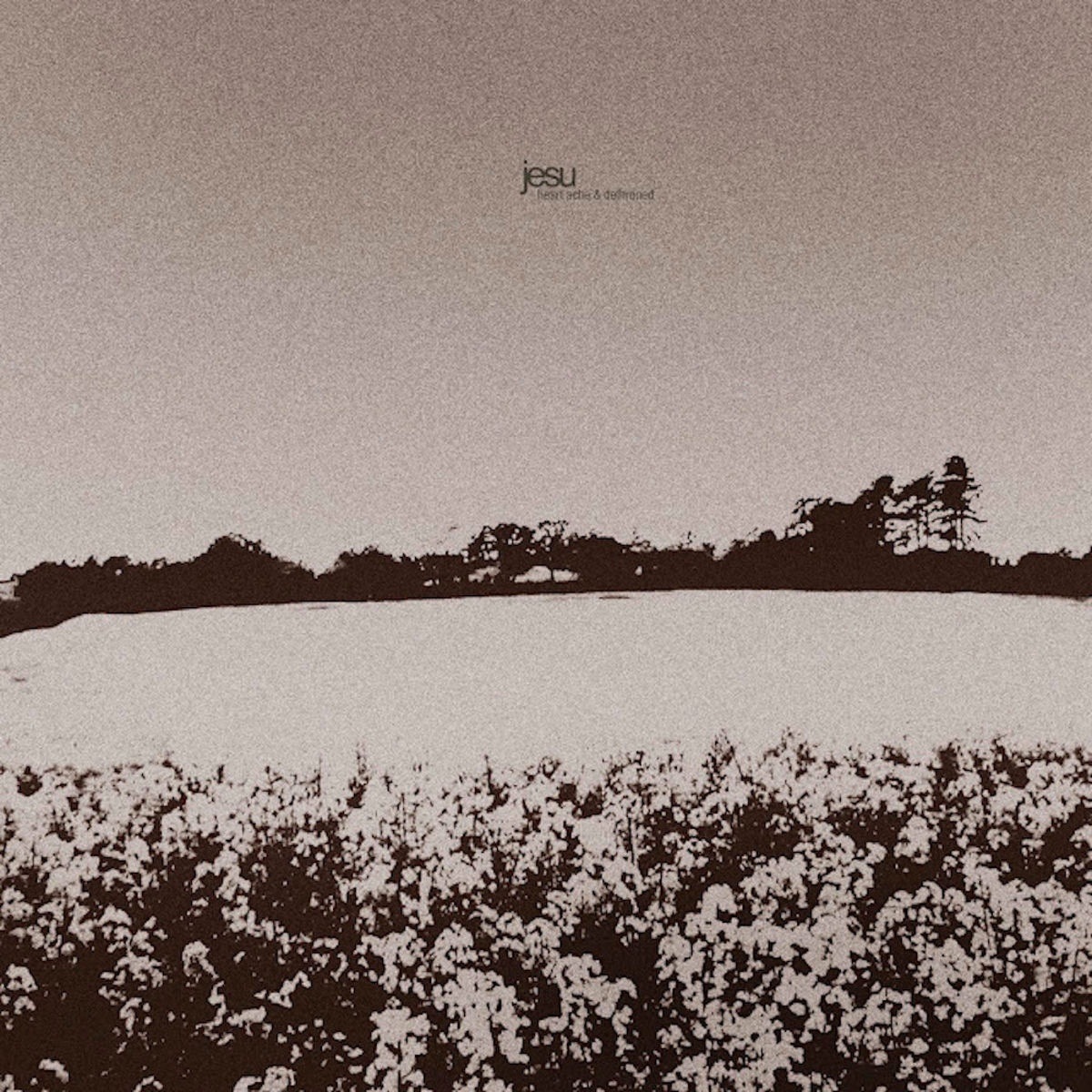 Jesu - Aureated Skin
