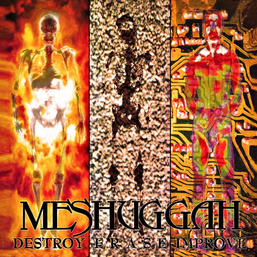 Destroy Erase Improve - Meshuggah