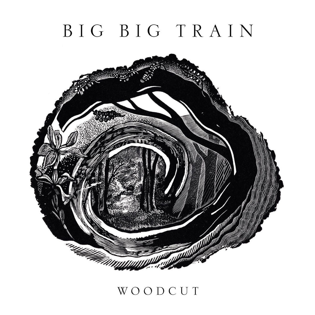 Big Big Train - Dreams in Black and White