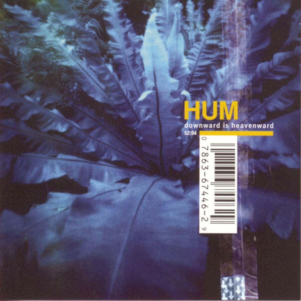 Hum - If You Are To Bloom