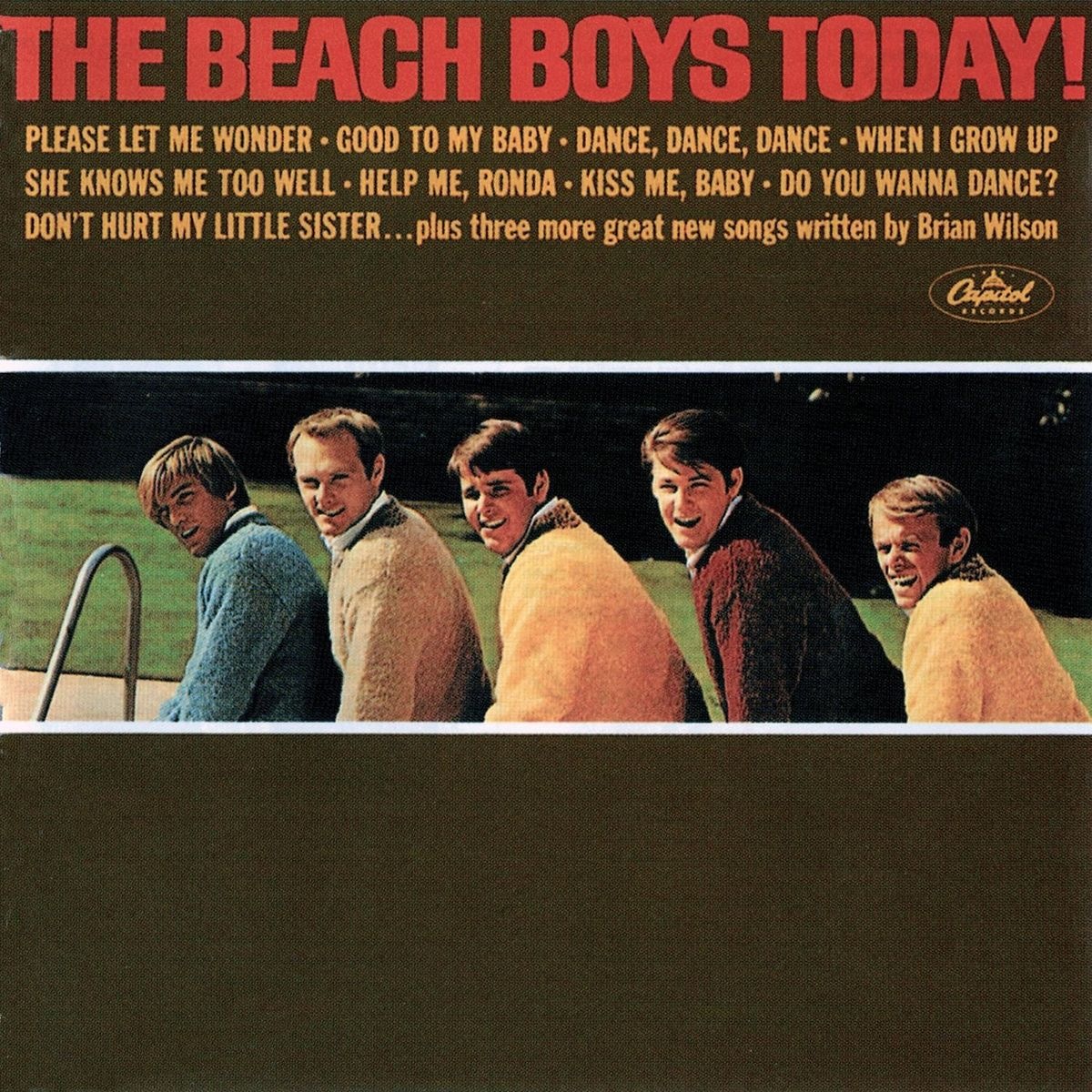 The Beach Boys - Bull Session With "Big Daddy"