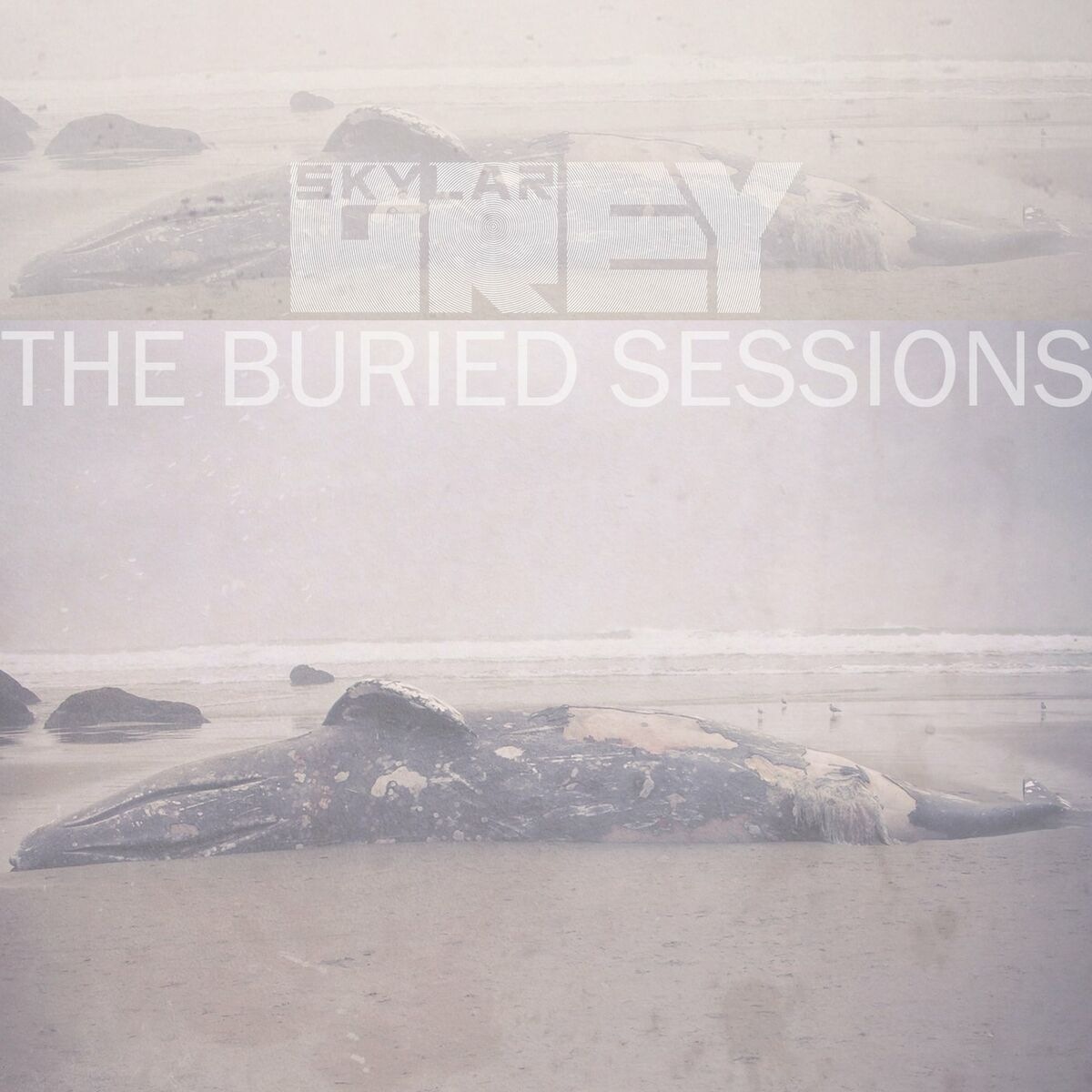 Skylar Grey - Words