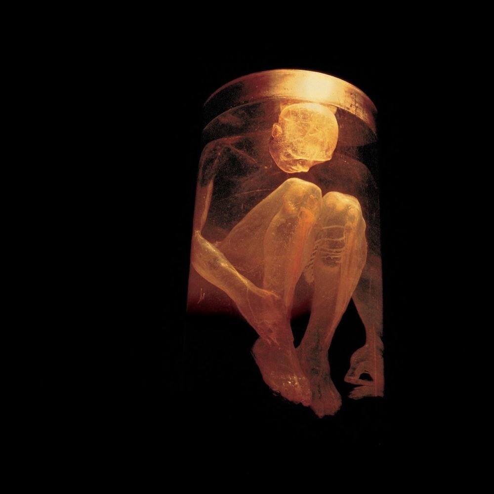 Alice in Chains - What the Hell Have I