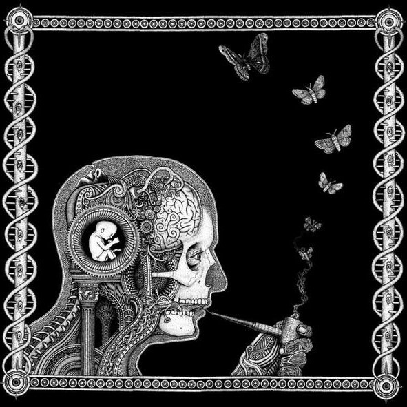 Soen - Savia