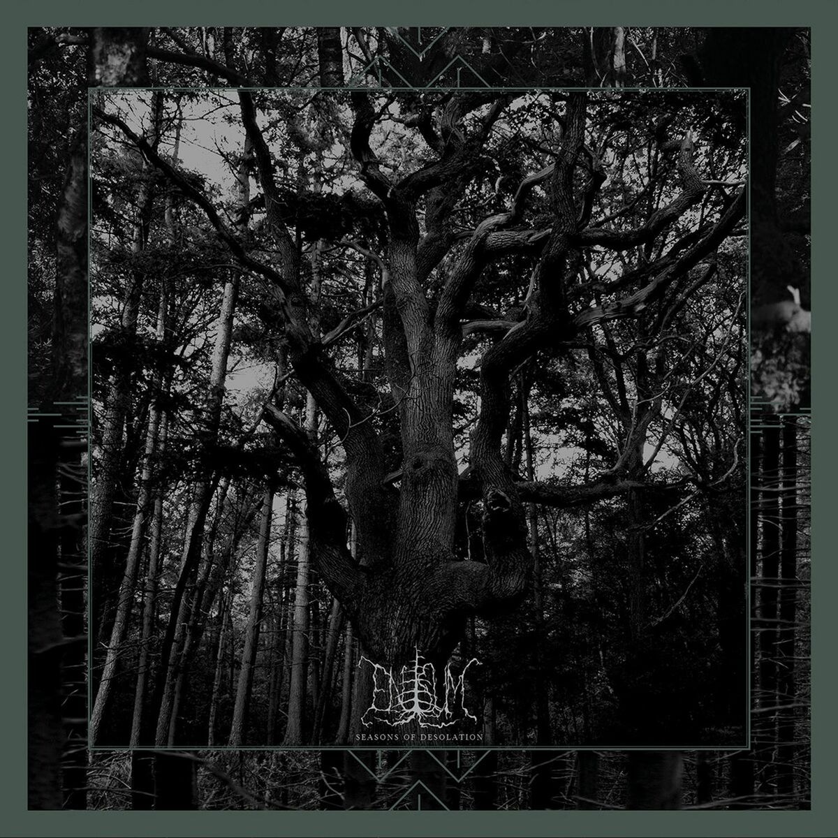 Enisum - Snow Storm cover art