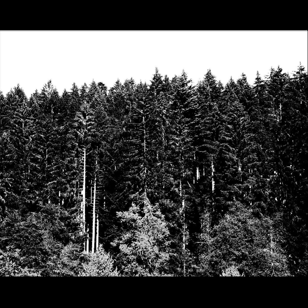 Krobak - They're All Shot This Winter