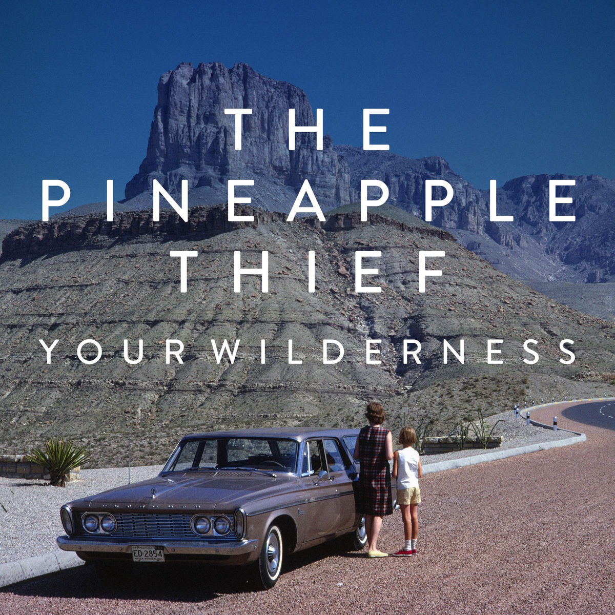 The Pineapple Thief - That Shore