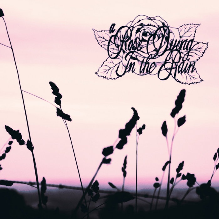 A Rose Dying In The Rain - Y nuestras memorias quedarán... cover art