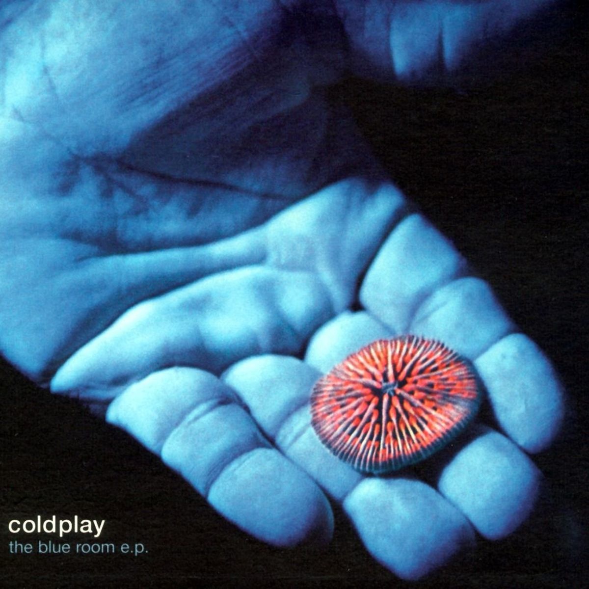 Coldplay - Don't Panic