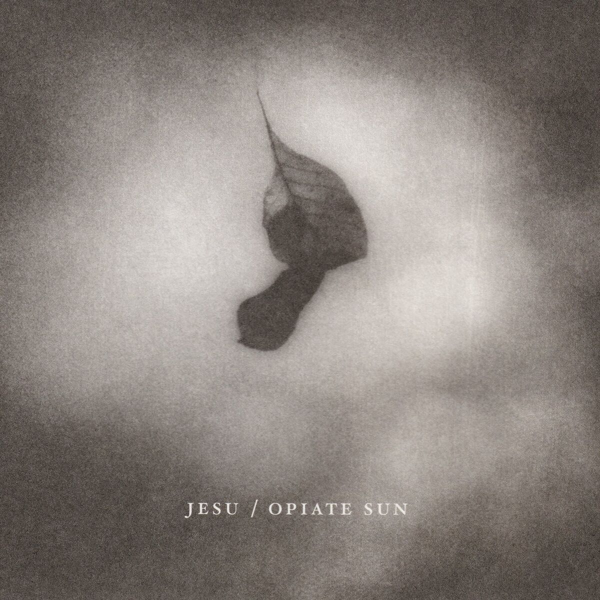 Jesu - Opiate Sun