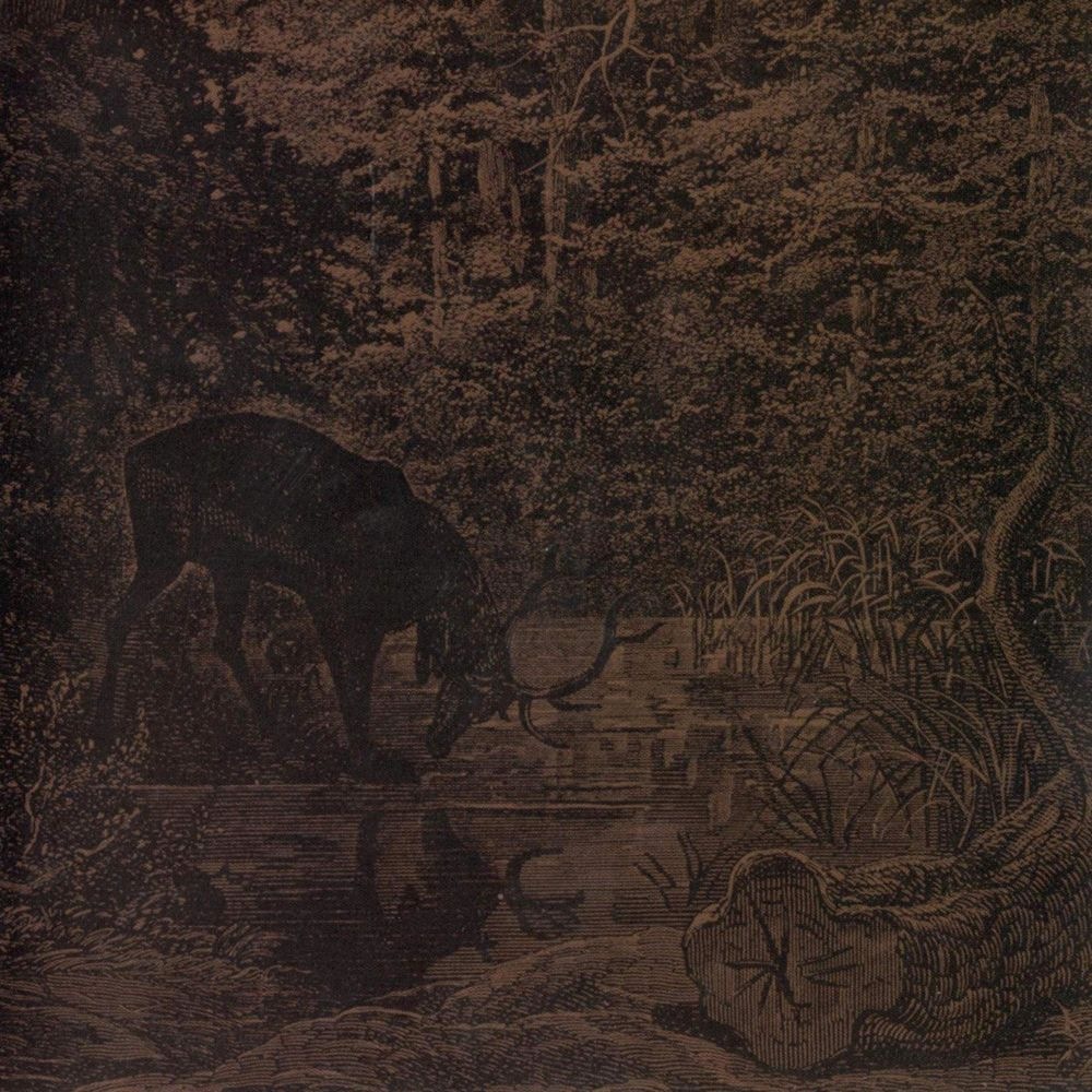 Agalloch - A Poem by Yeates