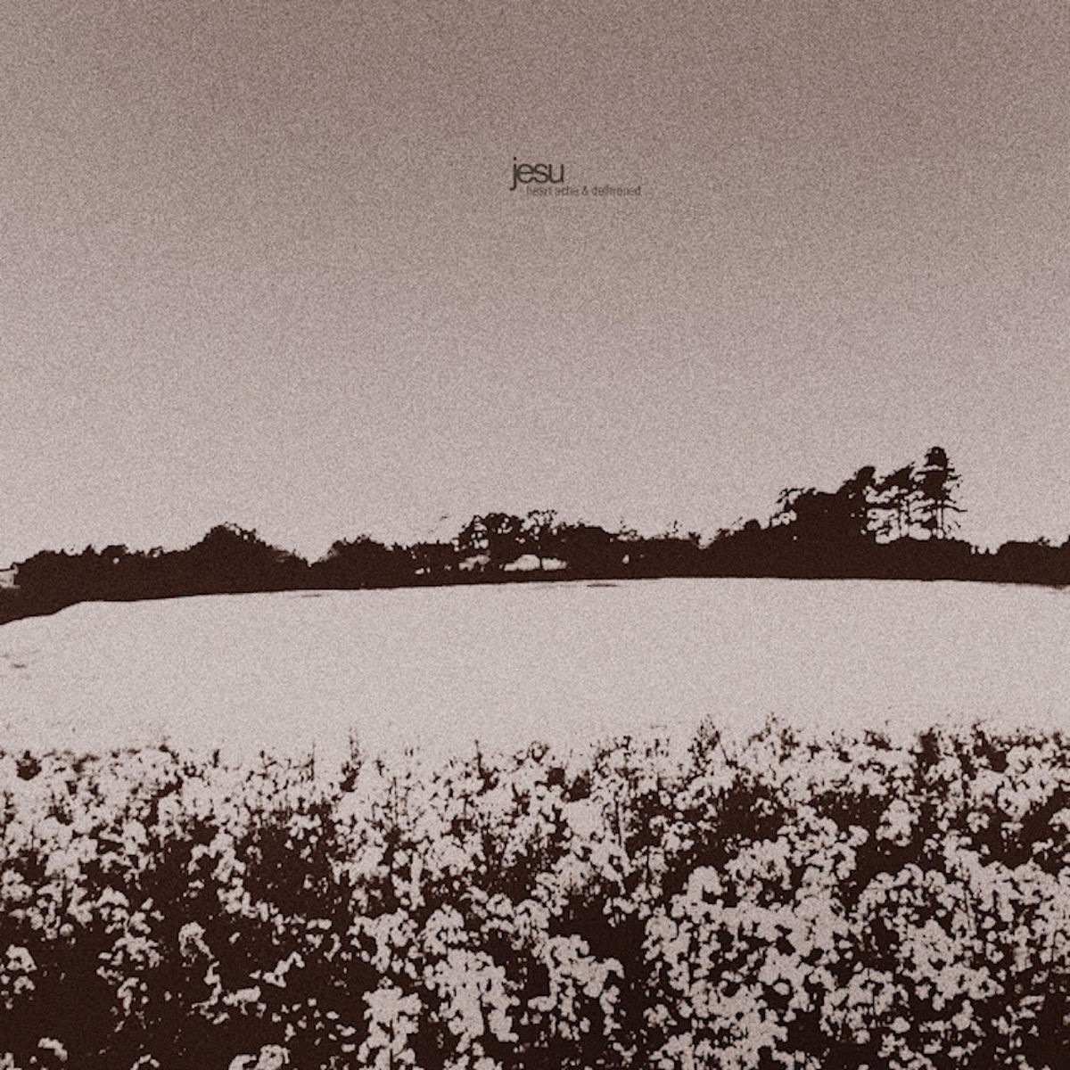 Jesu - Annul