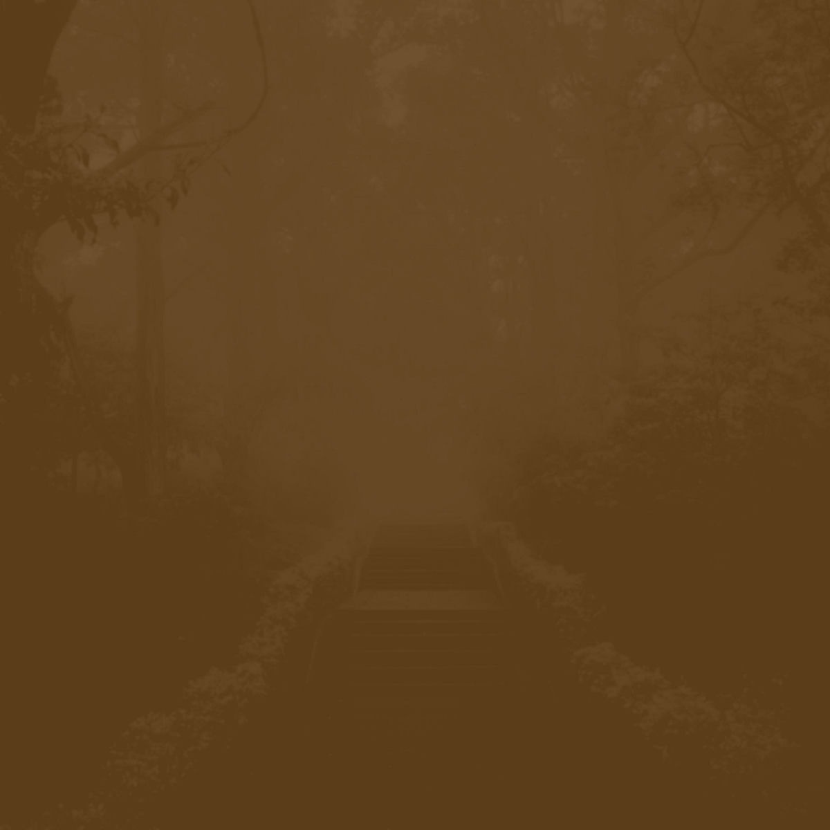 Jesu - Didn't Want To Wake Up cover art