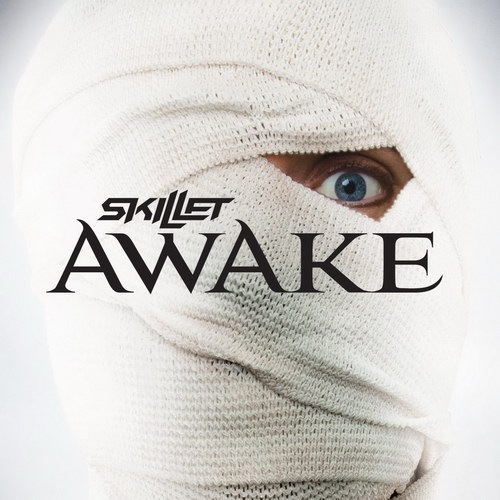 Skillet - Would It Matter (Bonus Track) cover art