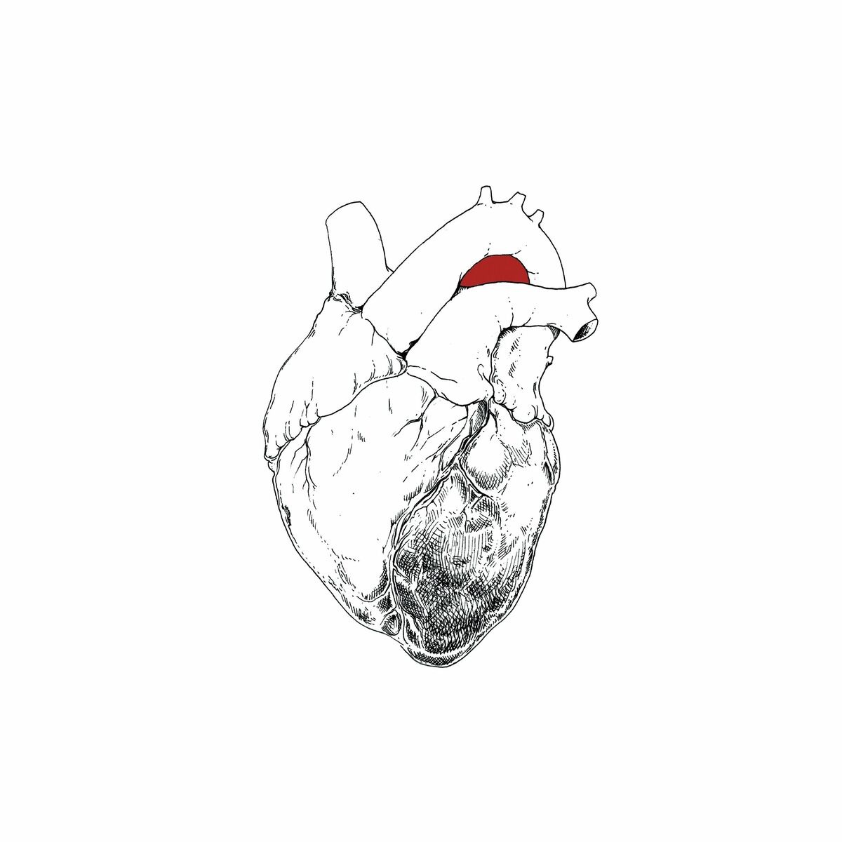 Swans - Why Can't I Have What I Want Any Time That I Want?