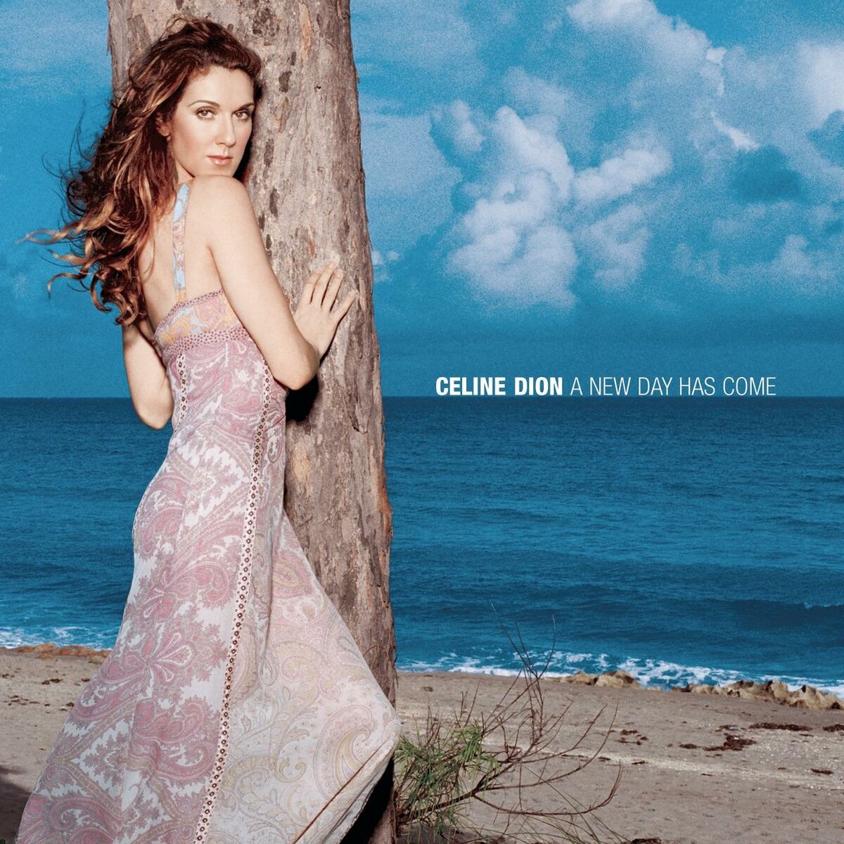 Céline Dion - I Surrender