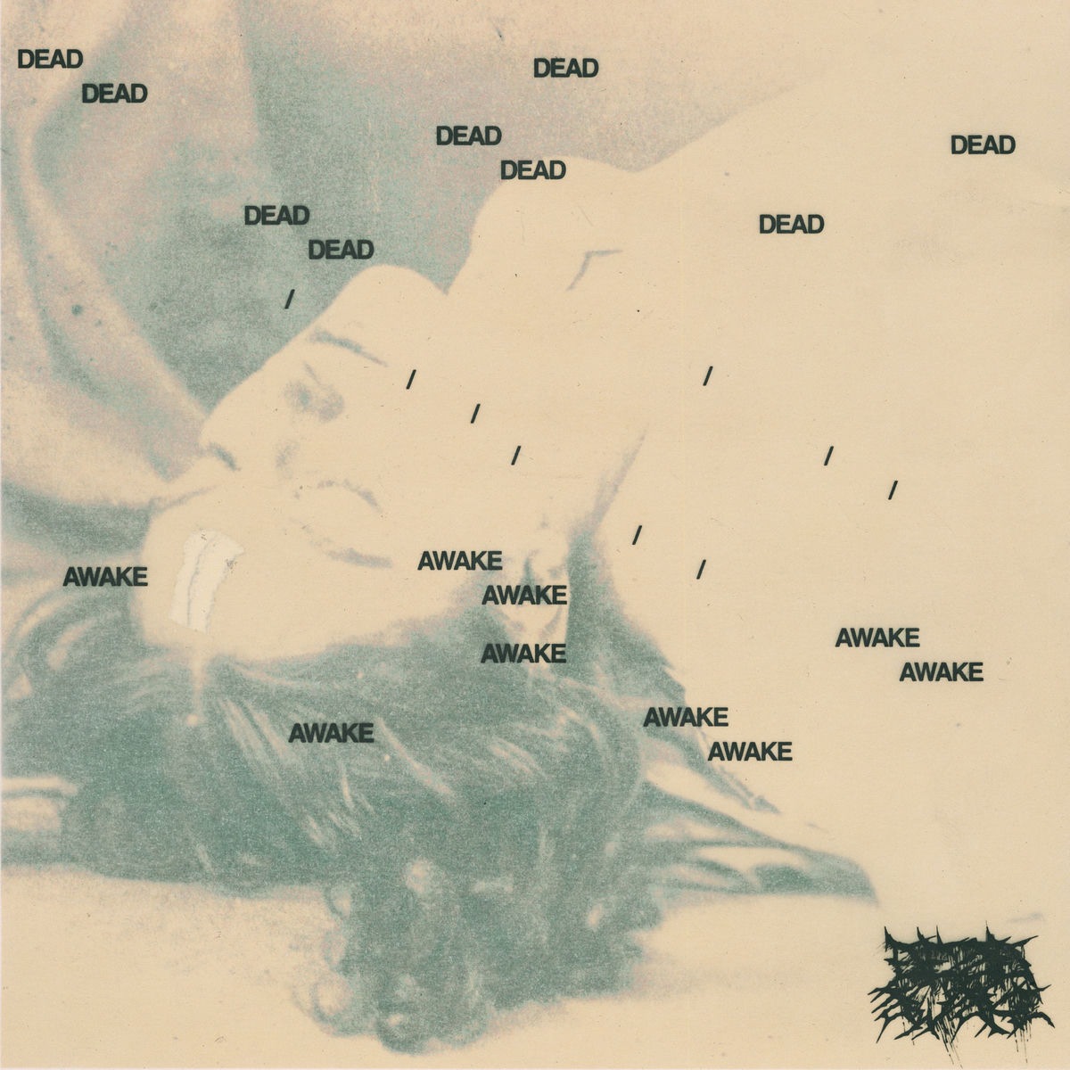 Dead/Awake - Into The Fall