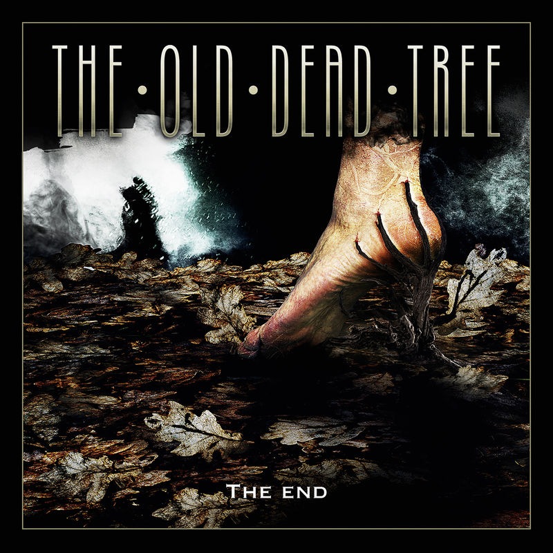 The Old Dead Tree - Sorry