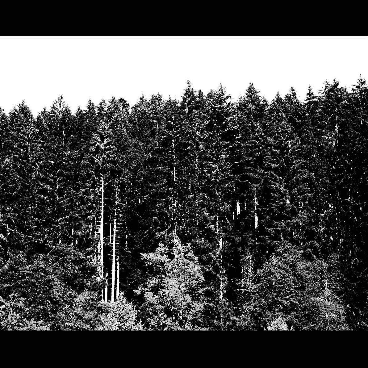 Krobak - As Fresh as the Air of the Night