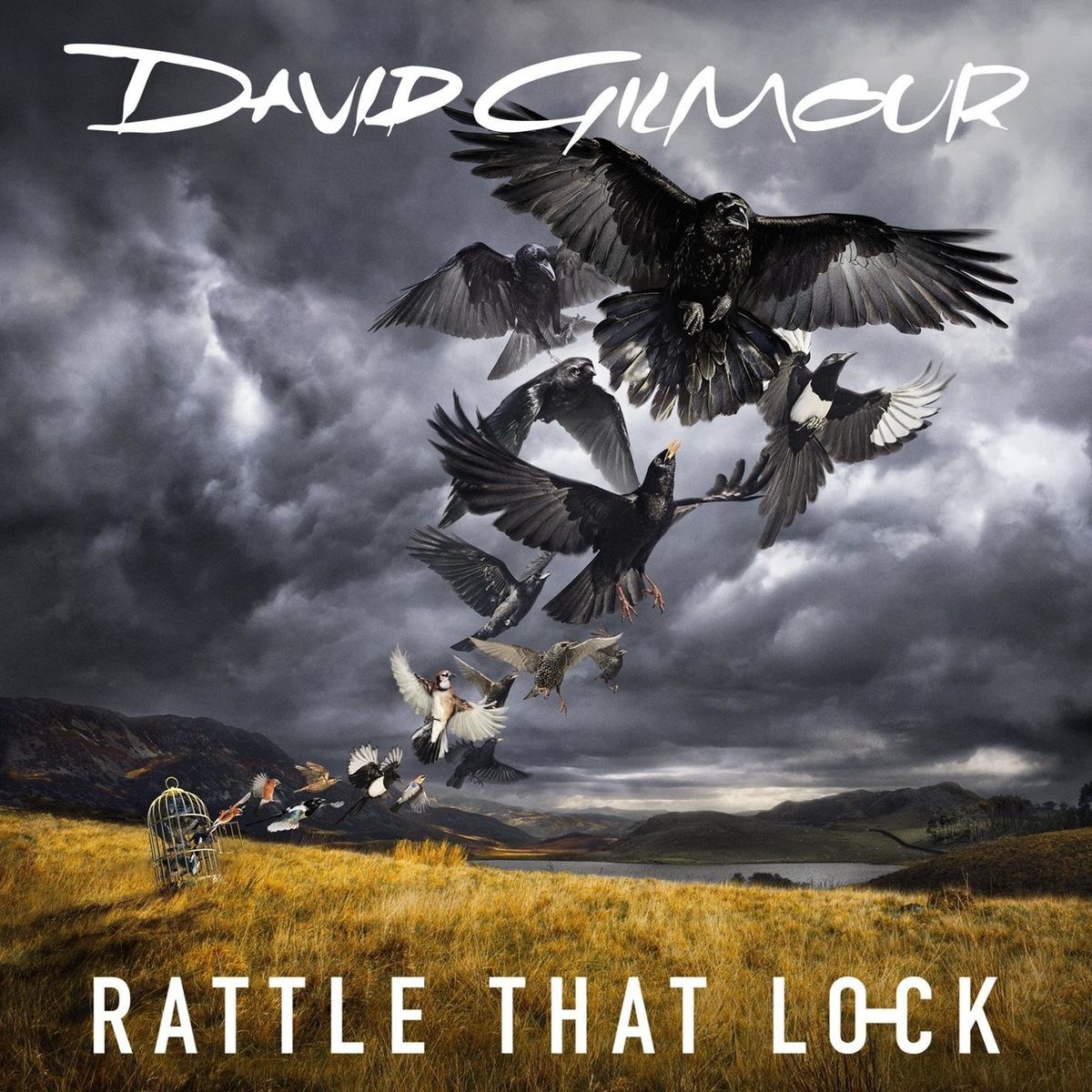 David Gilmour - Rattle That Lock (Radio Edit) cover art