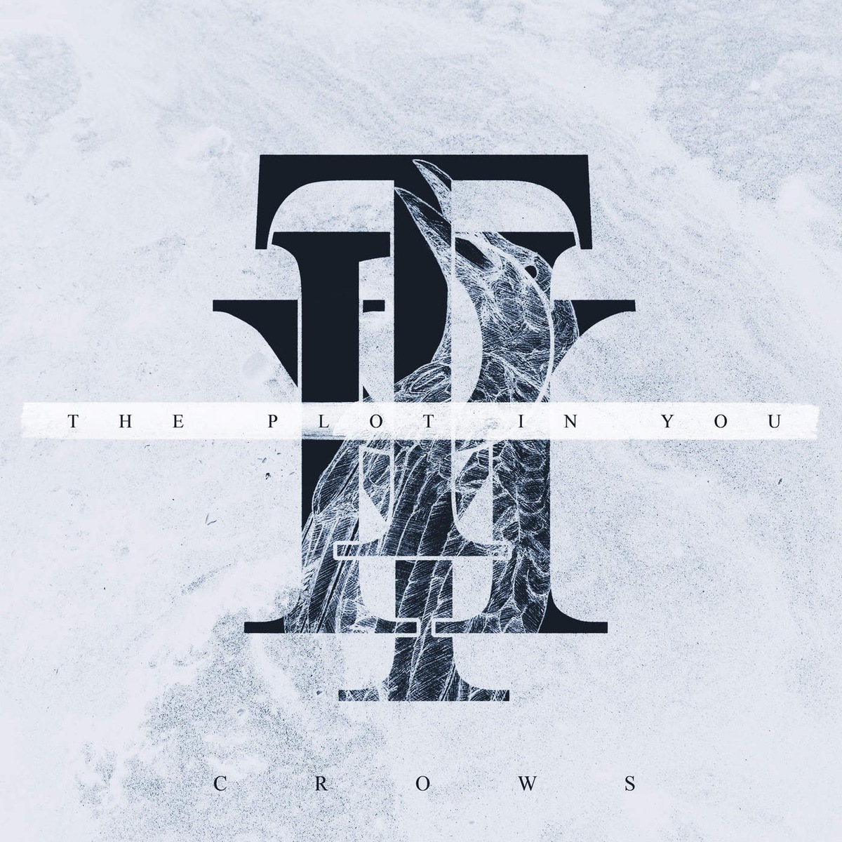 The Plot In You - Crows