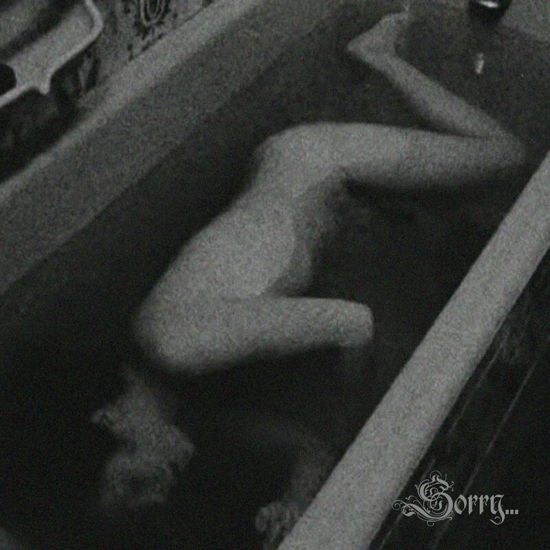 Sorry... - (I Am) Rotten Inside