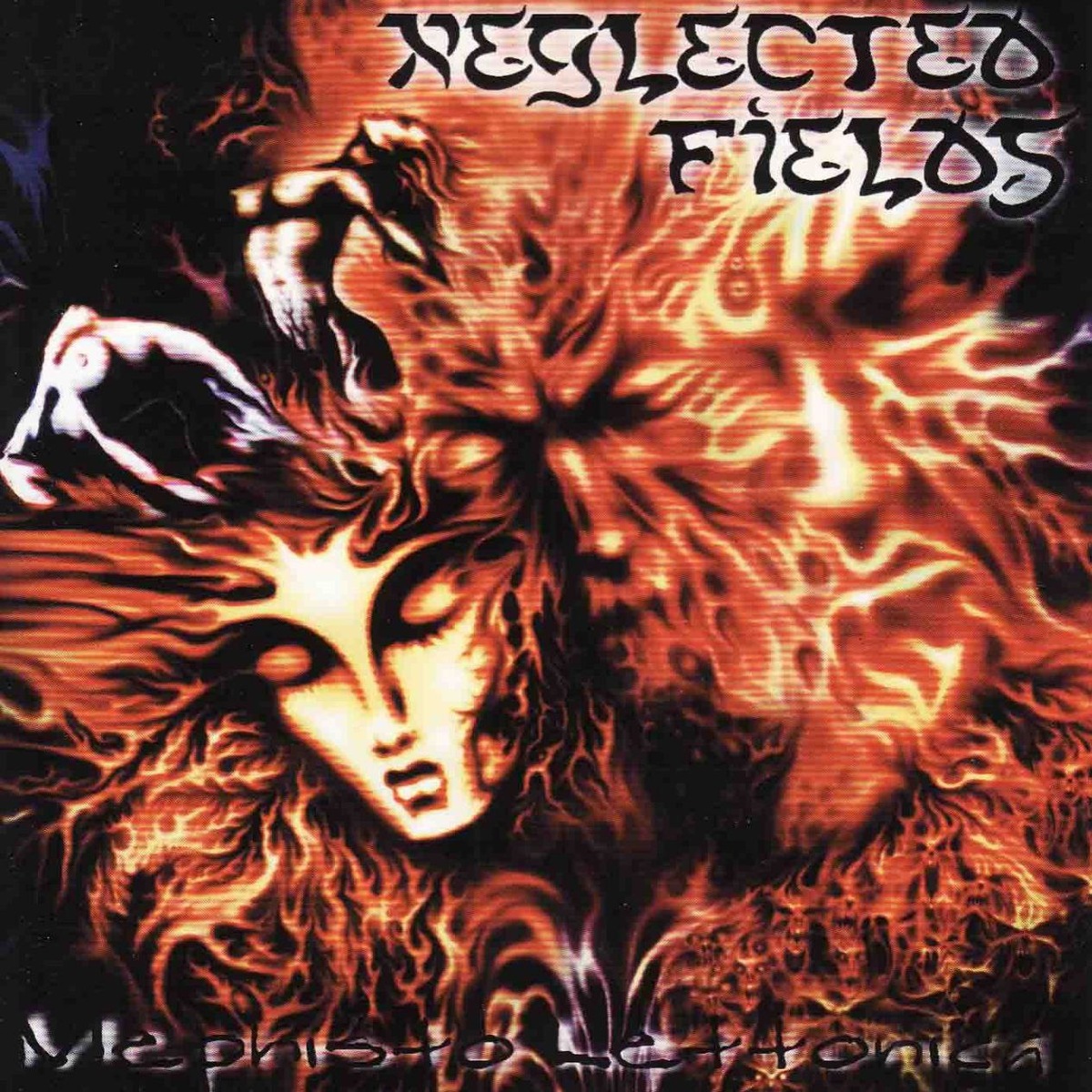 Neglected Fields - Outro