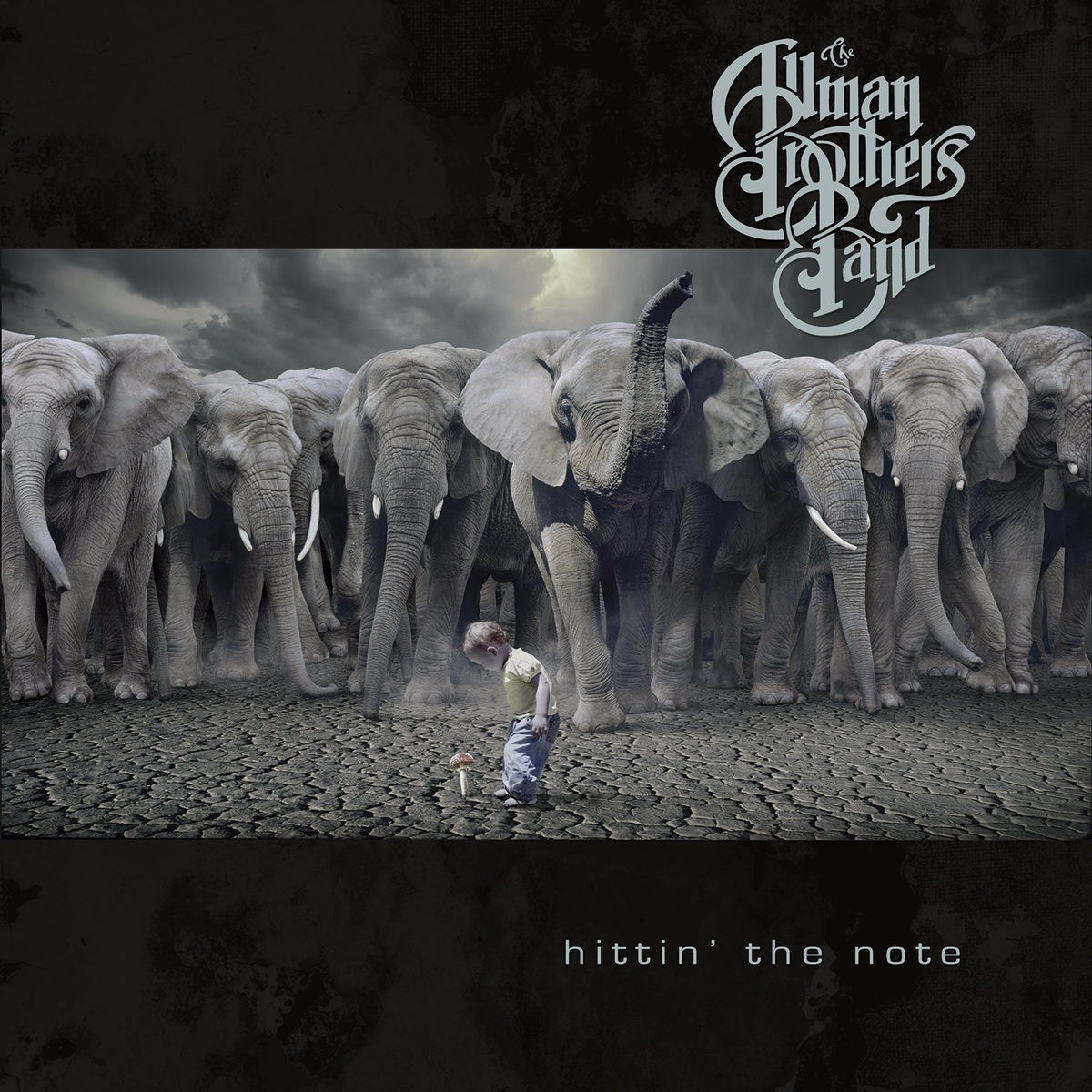 Hittin’ the Note - The Allman Brothers Band