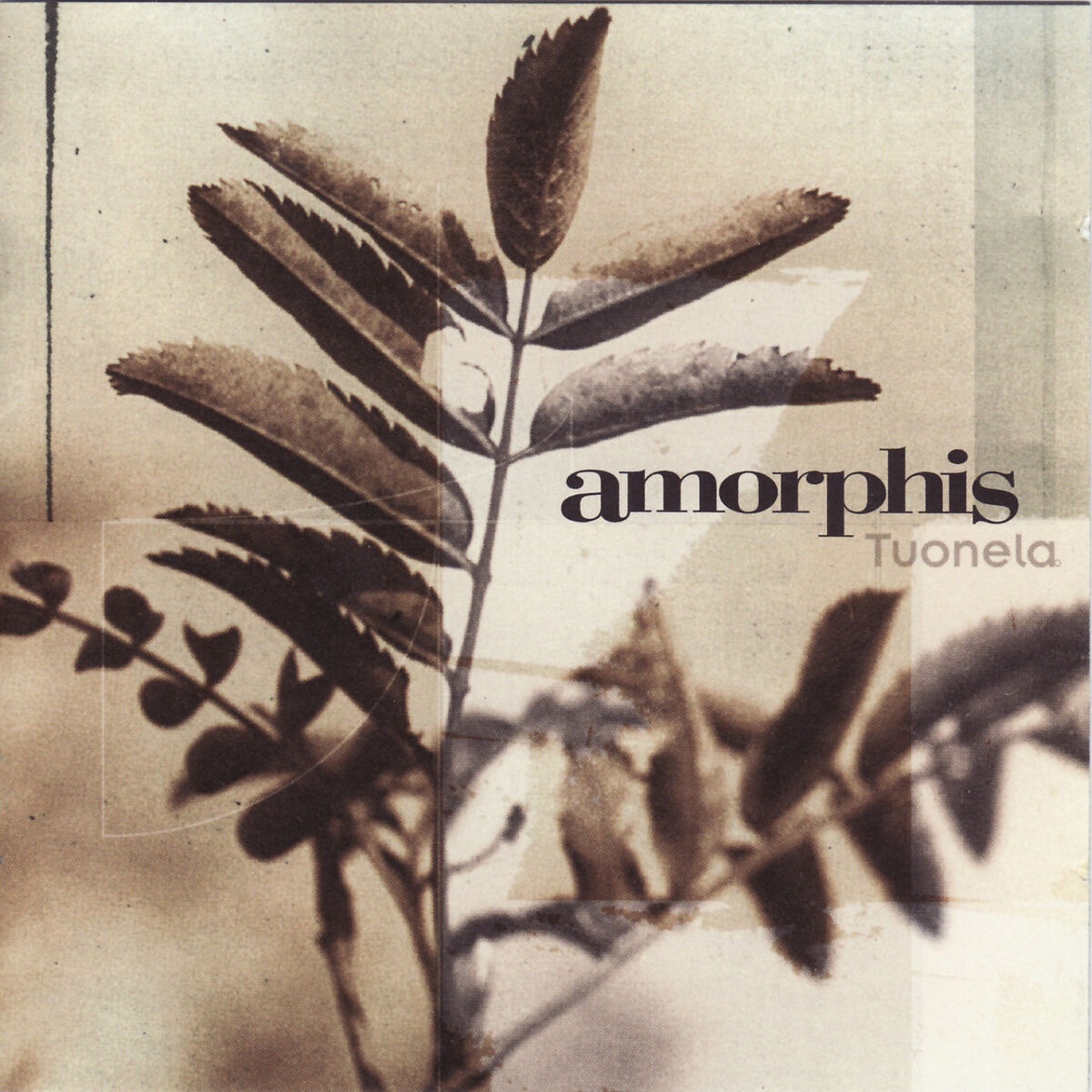 Amorphis - Divinity