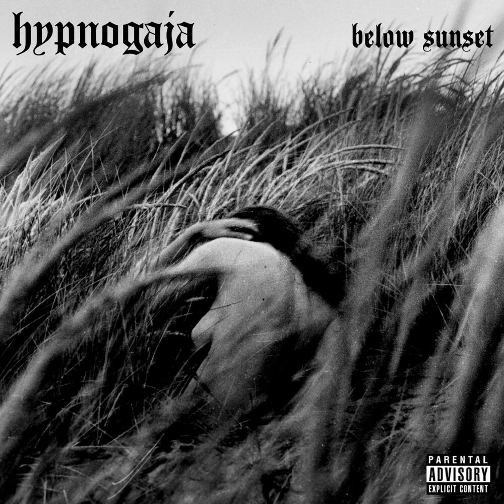 Hypnogaja - Quiet cover art