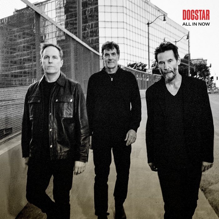 All In Now - Dogstar